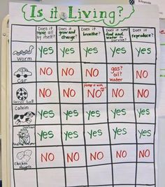 a white board with writing on it that says is it living? and there are no yes