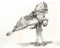 a pencil drawing of a man holding the reins of a horse that is standing on its hind legs