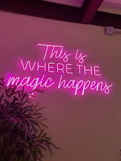 this is where the magic happens neon sign in front of a potted plant and wall