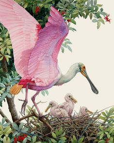 a painting of a pink bird with its babies