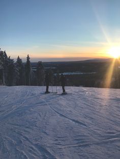 two people on skis standing at the top of a snowy hill with trees in the background