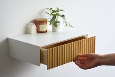 a hand is holding a piece of cardboard next to a shelf with some plants on it