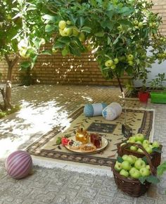 an outdoor area with fruit on the table and in front of it is a potted tree