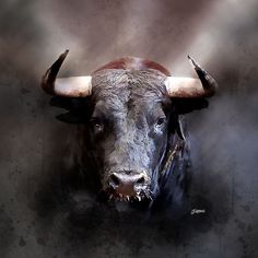 a bull with large horns is standing in the foggy light and looks at the camera