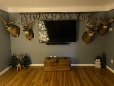 a living room with deer heads mounted to the wall and christmas tree in front of it