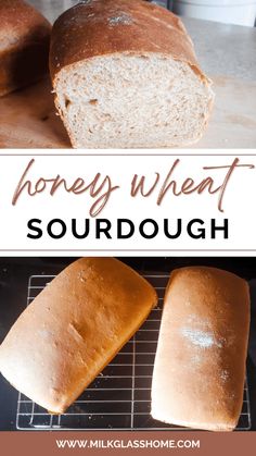 two loaves of bread sitting on top of a cooling rack with the words honey wheat sourdough