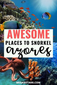 an ocean scene with the words awesome places to snore