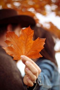 a person holding a leaf in their hand