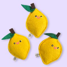 three yellow lemons with green leaves on them and tags attached to the backs of them