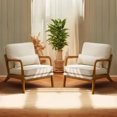 two chairs sitting next to each other in front of a potted plant on top of a hard wood floor