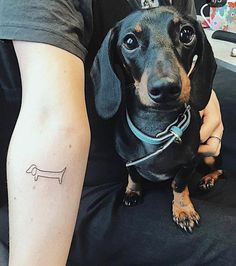 a small dachshund dog sitting on someone's lap with a tattoo