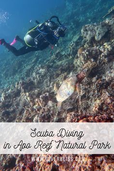 scuba diving in the reef with text overlay that reads scuba diving in apape reef natural park