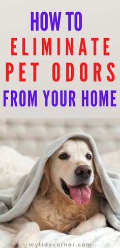 a dog under a blanket with the title how to eliminating pet odors from your home