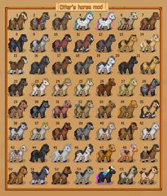 an animal chart with all the different breeds and colors on it's sides, including poodles