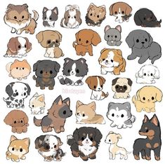 a bunch of small dogs that are all different colors and sizes on a white background