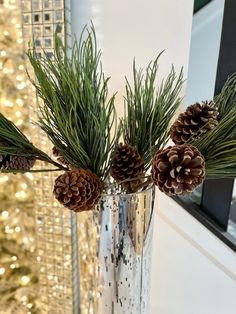 three pine cones are in a clear vase