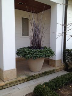 a large potted plant sitting on the side of a house's front porch