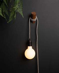 a light bulb hanging from the side of a wall next to a green fern plant