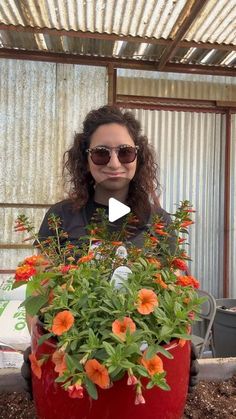 a woman wearing sunglasses standing next to a potted plant with orange flowers in it