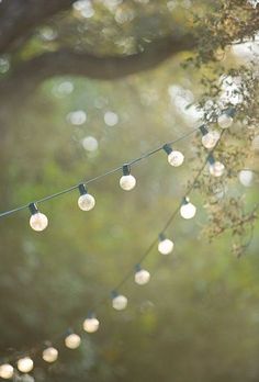 string lights hanging from a tree in the evening with boket and blurry background