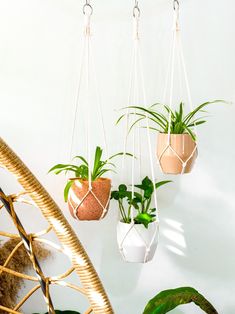 three hanging planters with plants in them on a wall next to a wicker hammock