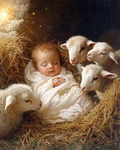 a painting of a baby in the middle of five lambs laying down on hay