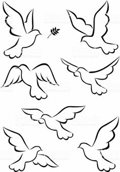 four birds flying in the air with wings spread out