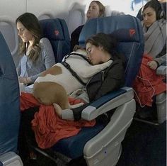 two women sitting on an airplane with a dog in their lap and the caption says, you can only have one carry - on me