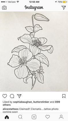 an instagram page with flowers drawn on it