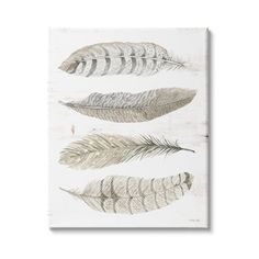 three feathers mounted on a white wooden wall above a painting with an aged wood frame