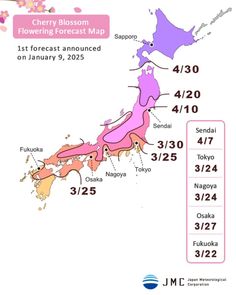 Plan to catch Japan’s iconic cherry blossoms this year? The Japanese Meteorological Corporation (JMC) has just released its first forecast for the 2025 sakura season, which tells you when the much-anticipated flowers will bloom. Read more at the link in bio. 🔗

✏️: @navyavermaa
📷: Japan Meteorological Corporation