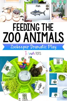 feeding the zoo animals is an easy and fun way to teach toddlers how to feed