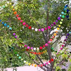 a tree with many colored balls hanging from it's branches