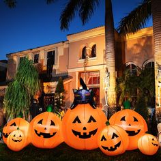 halloween pumpkins are lined up in front of a house with palm trees on the lawn