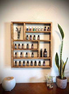 a wooden shelf filled with bottles next to a potted plant on top of a table