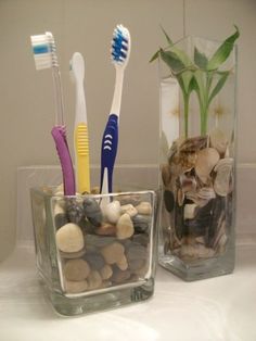 three toothbrushes are in a clear container with rocks and shells on the table