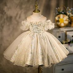 Tutu Princess Ball Gown Lace Tulle Baby 1st Birthday Party Wedding Flo - Princessly Girls Birthday Party Dress, Spanish Dress, Toddler Party Dress, Court Dresses, Girls Easter Dresses, Fancy Dress Up, Wedding Flower Girl Dresses, Princess Ball Gowns, Birthday Party Dress