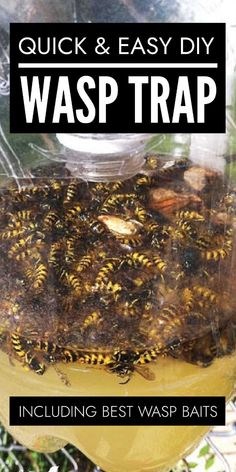 a jar filled with bees sitting on top of a table