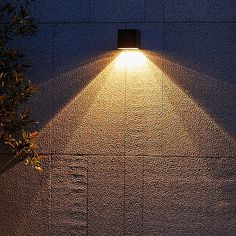 a lamp shines on the side of a wall in front of a potted plant