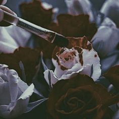 Paint The Roses Red, Dark Alice In Wonderland, Alice In Wonderland Aesthetic, Alice Madness Returns, Alice Madness, Roses Red, Modern Disney, Disney Aesthetic, Fantasy Aesthetic