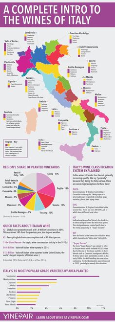 the wine map for italy with different wines in each country and their names on it