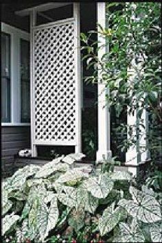 a white trellis on the side of a house next to some bushes and trees