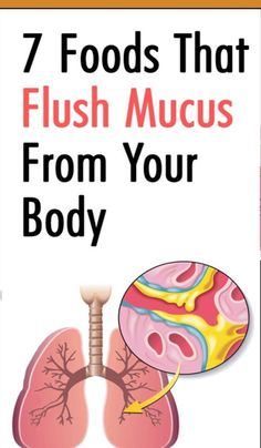 how to remove #mucus from the #body #naturally how to get rid of phlegm in #throat how to get rid of #phlegm in #lungs best medicine for #phlegm in throat how to remove mucus from #lungs naturally phlegm in #chest how to get rid of phlegm in chest cleansing mucus from the body anti mucus diet foods that reduce mucus in lungs Asthma Remedies, Blocked Nose, Persistent Cough, Body Wrap, Health Tips For Women, Natural Home Remedies