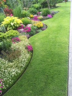 a garden filled with lots of different types of flowers and plants next to a sidewalk