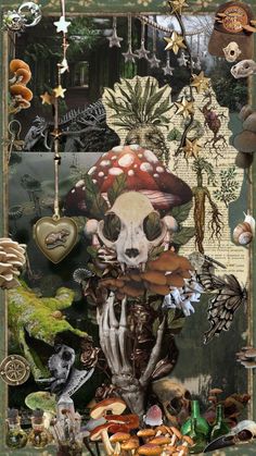 an altered collage of mushrooms, plants and other things