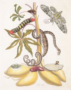 an illustration of a lizard and other animals on top of bananas