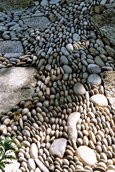 a bunch of rocks that are laying on the ground