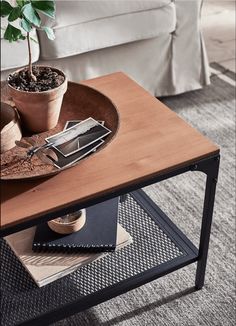 a living room with a couch, coffee table and potted plant