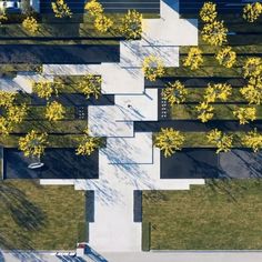 an aerial view of a tree lined street