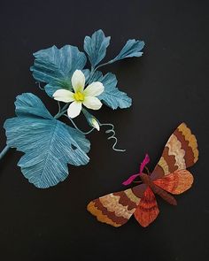 an orange and brown butterfly sitting on top of a leaf next to a flower with blue leaves